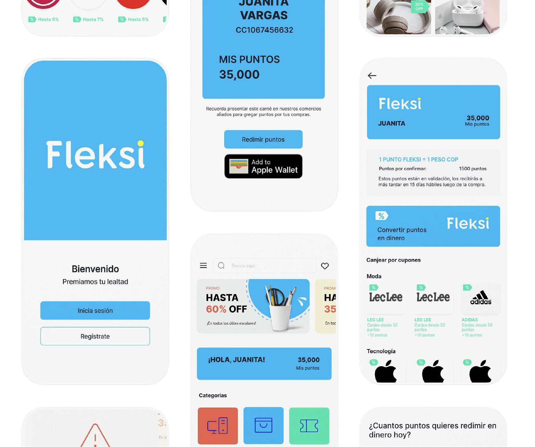 Qué es Fleksi